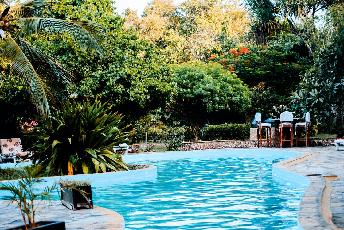 Latest pool design with foliage all around