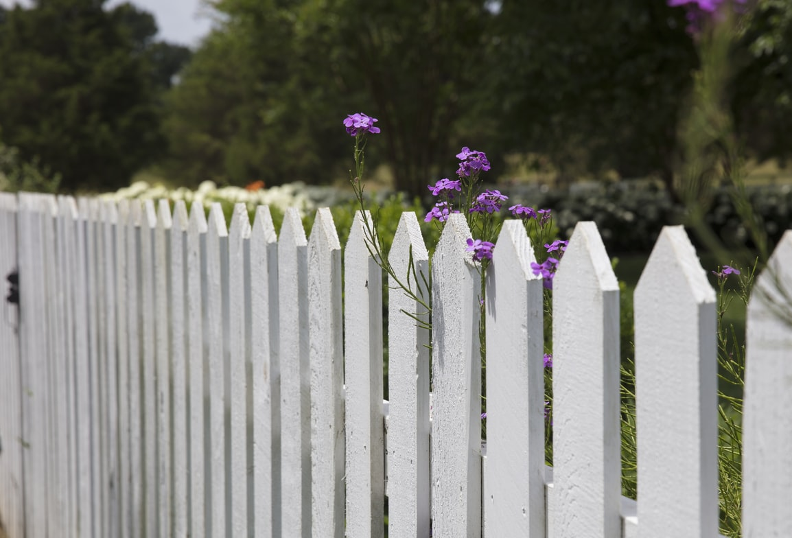 A garden fence