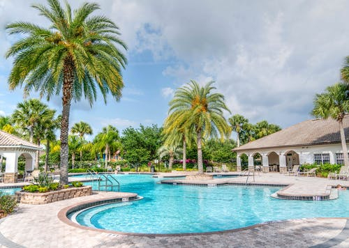 A luxurious pool vista with palm trees and stonework.