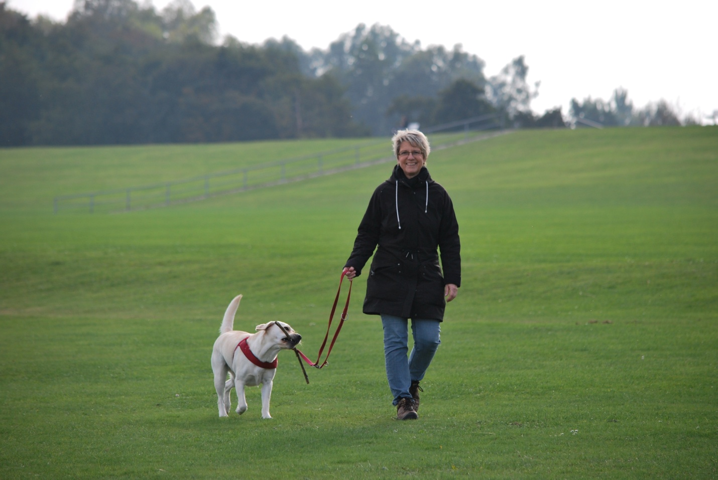 A woman walking her dog on a grassland