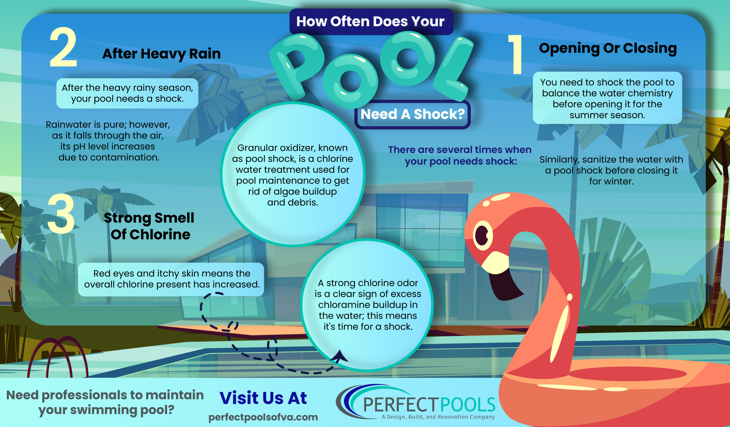 How Often Does your Pool Need a Shock - Infograph